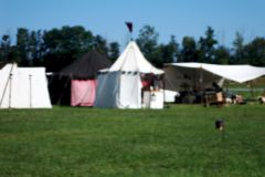DSC01429_1